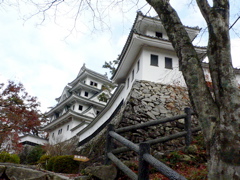 b0089531_13385347.jpg