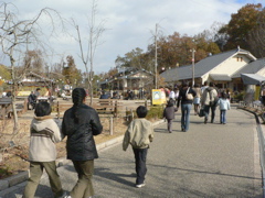 b0089531_14155272.jpg