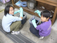 b0089531_15155086.jpg