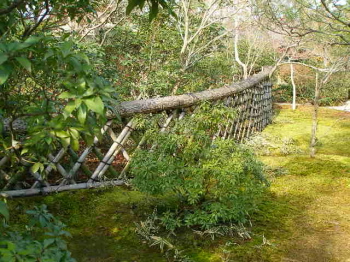 a0074540_0339.jpg