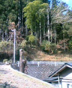 d0090842_22274897.jpg