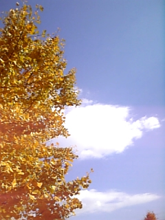 d0042851_056279.jpg