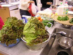 c0081552_13433296.jpg