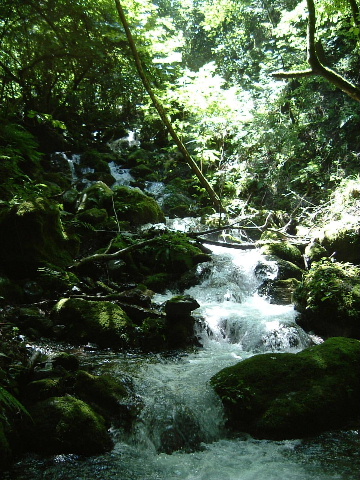 c0097754_004056.jpg
