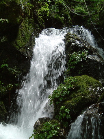 c0097754_012864.jpg
