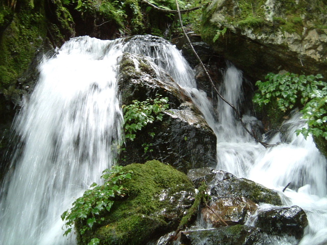 c0097754_014935.jpg