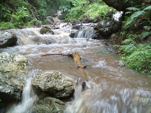 c0097754_0174219.jpg