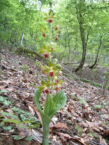 c0097754_0361881.jpg