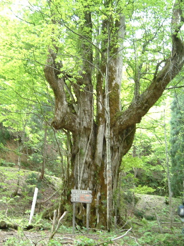c0097754_0364115.jpg