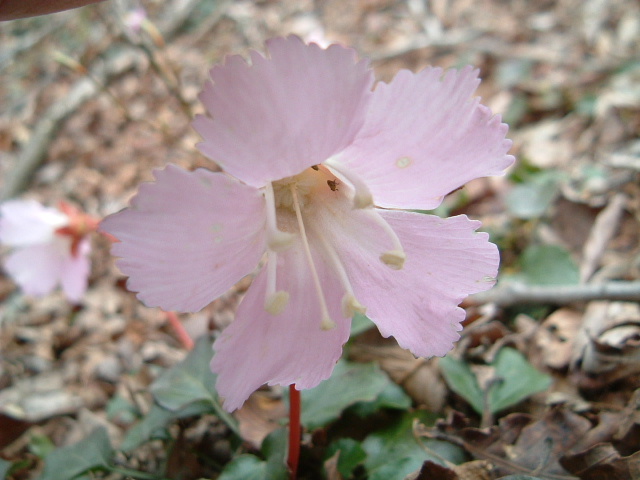 c0097754_0402648.jpg