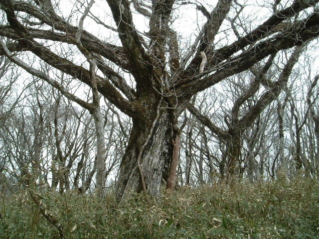 c0097754_040478.jpg