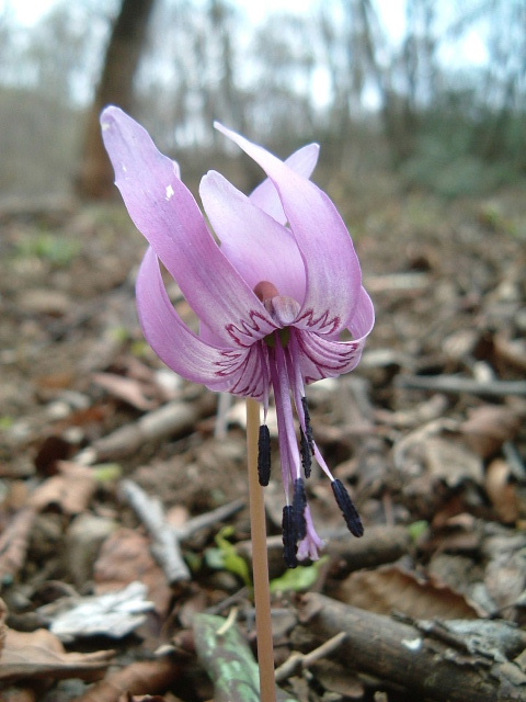 c0097754_0425169.jpg