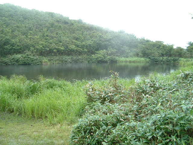 c0097754_05896.jpg