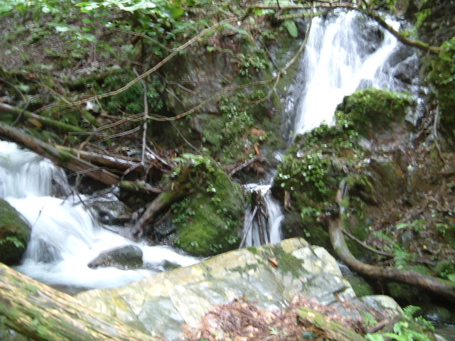 c0097754_075580.jpg