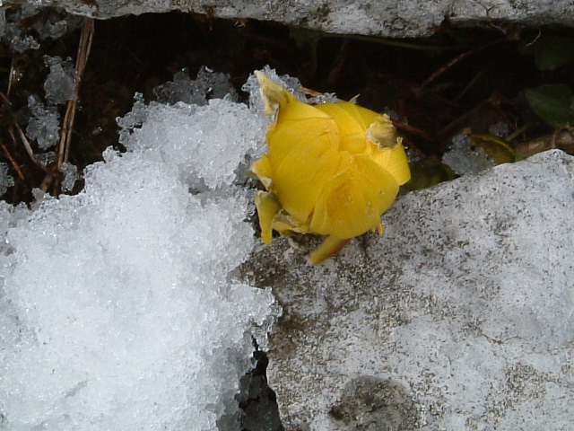 c0097754_10279.jpg
