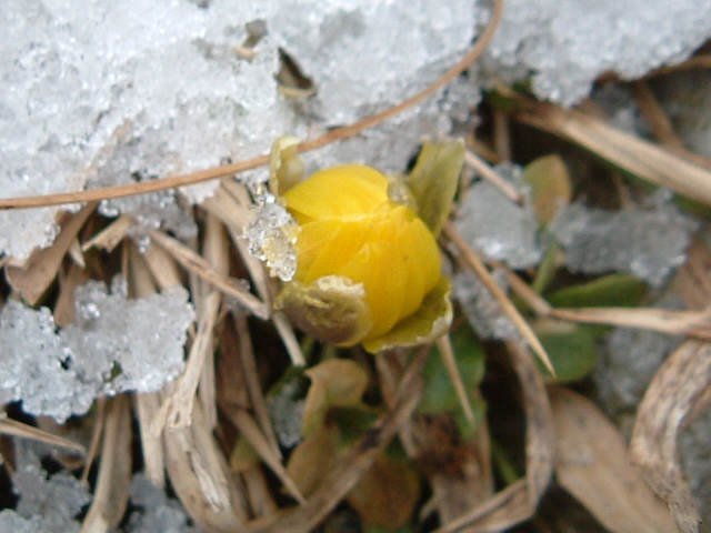 c0097754_10488.jpg