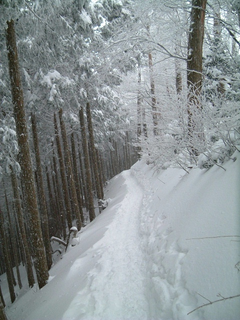 c0097754_1245048.jpg