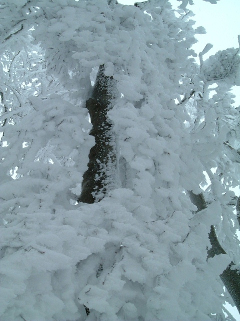 c0097754_1253117.jpg