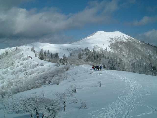 c0097754_1313121.jpg
