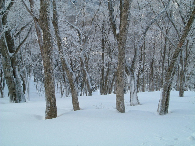 c0097754_1322513.jpg