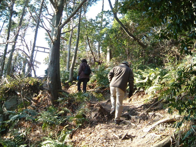 c0097754_1353746.jpg