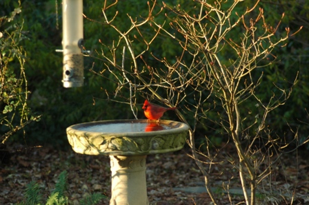 c0055857_23504830.jpg