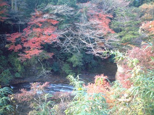 12月4日(月)・・・レネちゃん一家と養老渓谷へ_f0060461_18561250.jpg