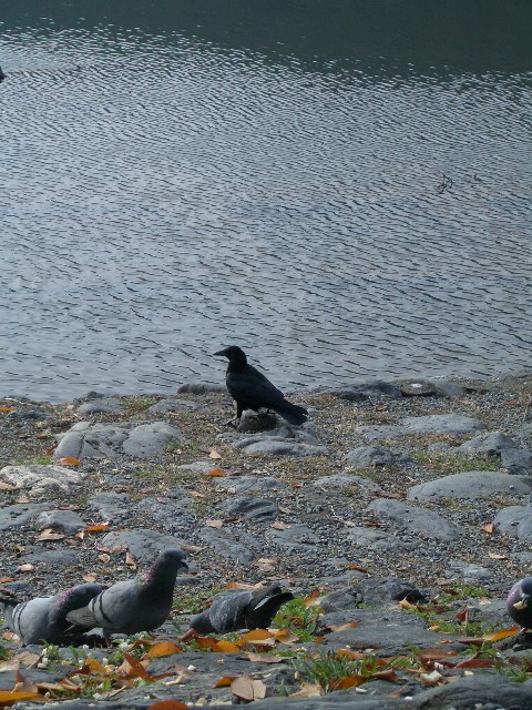 f0089079_10759.jpg