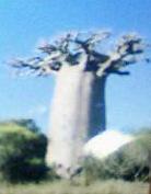 c0095091_12113911.jpg
