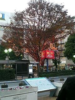 c0027700_20324061.jpg