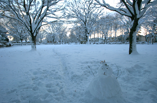 雪の季節がはじまった_a0015106_115289.jpg