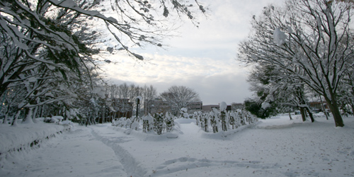 雪の季節がはじまった_a0015106_1163766.jpg