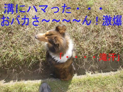 e0100007_10202356.jpg