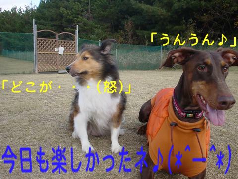 e0100007_10223285.jpg