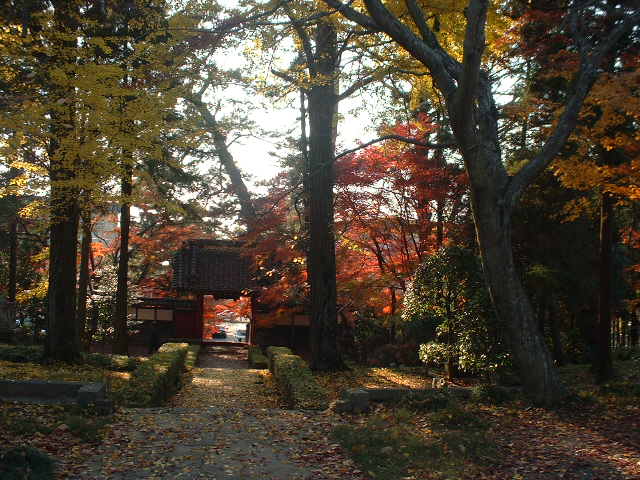 １９８）紅葉の寺_b0029010_21333354.jpg