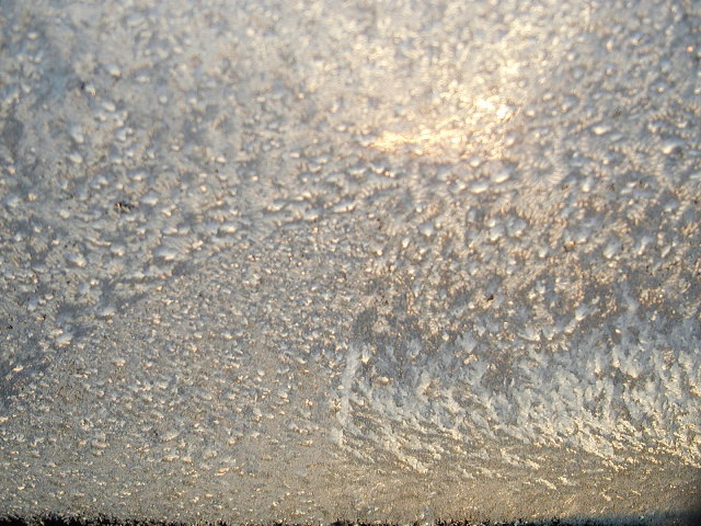 a0030713_2034571.jpg