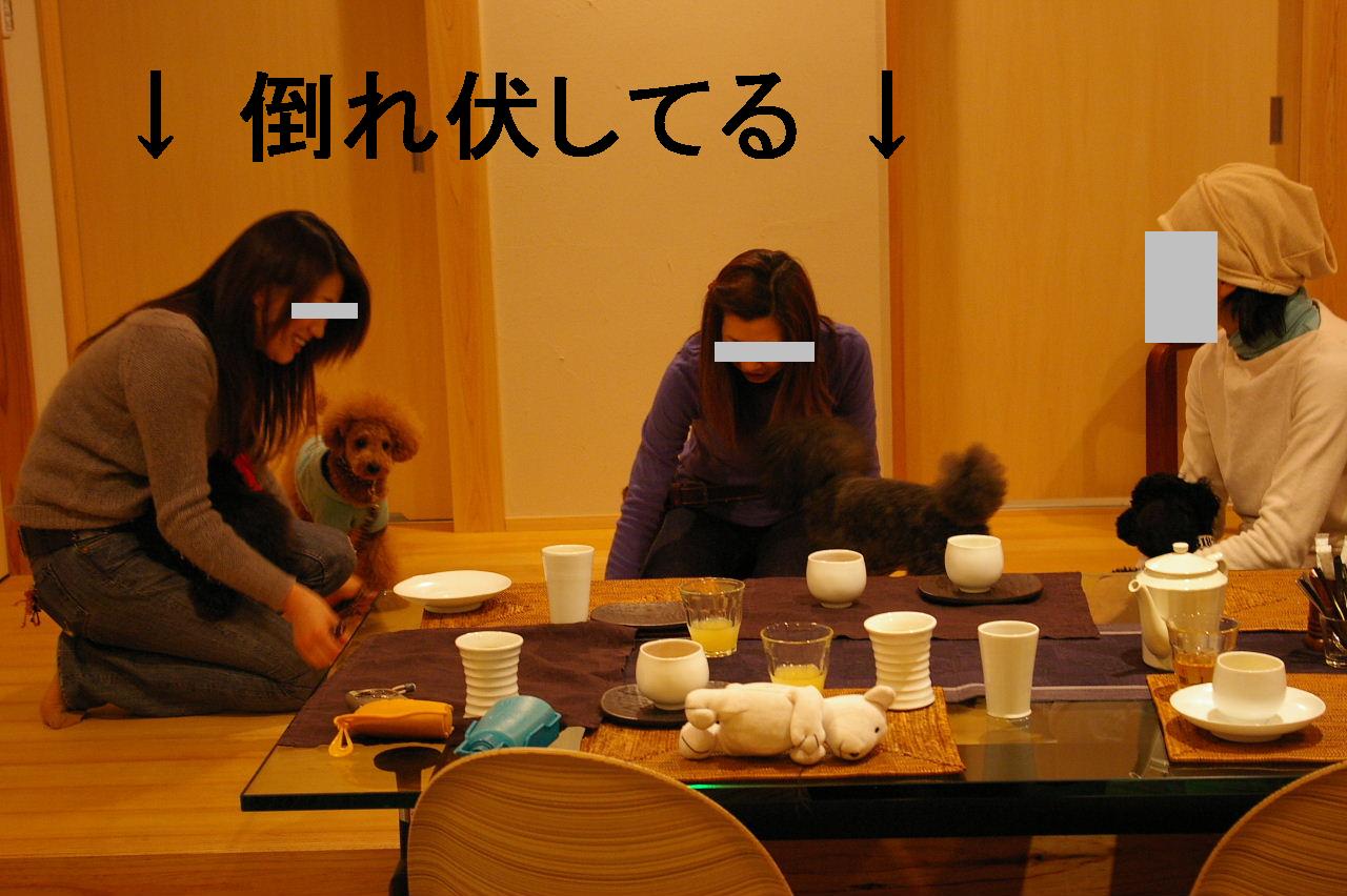 f0076529_15355.jpg