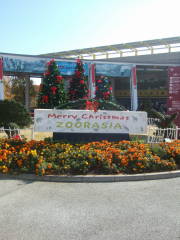 e0016135_23233571.jpg