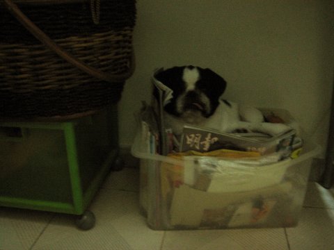 e0018143_0265274.jpg