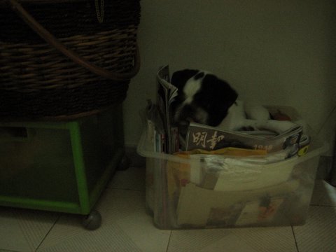 e0018143_0273447.jpg