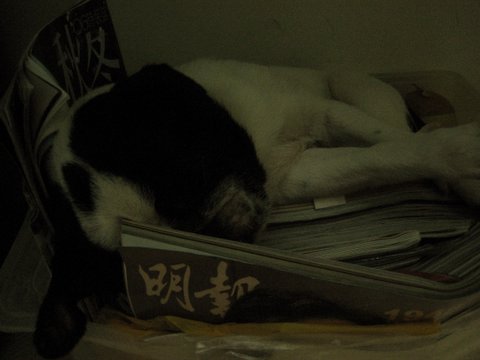 e0018143_0284010.jpg