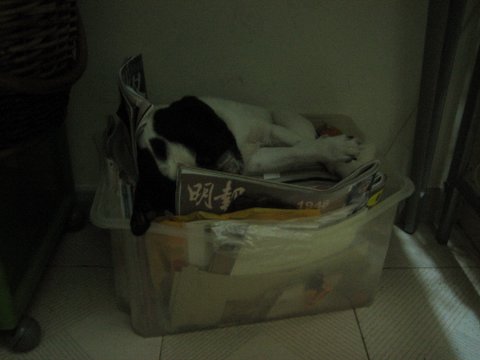 e0018143_028863.jpg