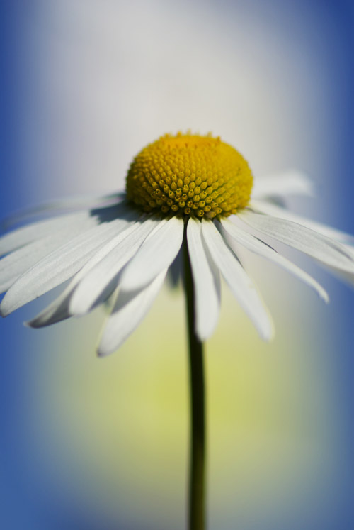 a0003746_1729377.jpg