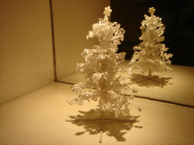 a0018246_12221859.jpg