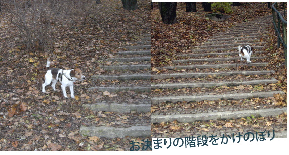 f0077150_1810225.gif