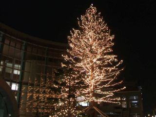 c0097856_20114491.jpg