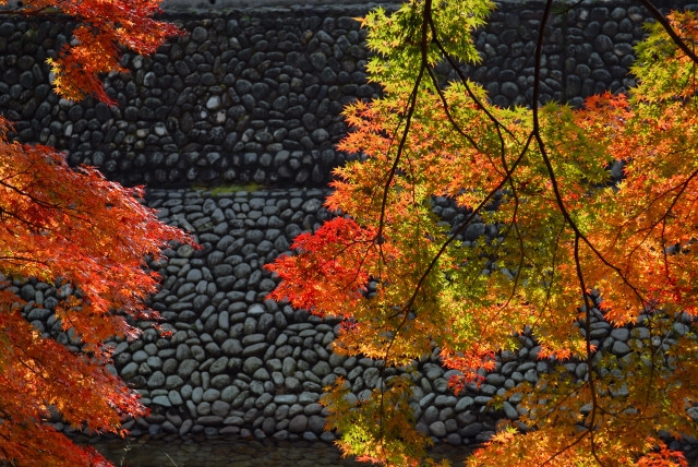 女人荒野…室生寺_f0033161_19561949.jpg