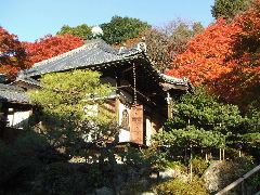 c0055363_23124315.jpg