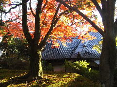c0055363_23163073.jpg