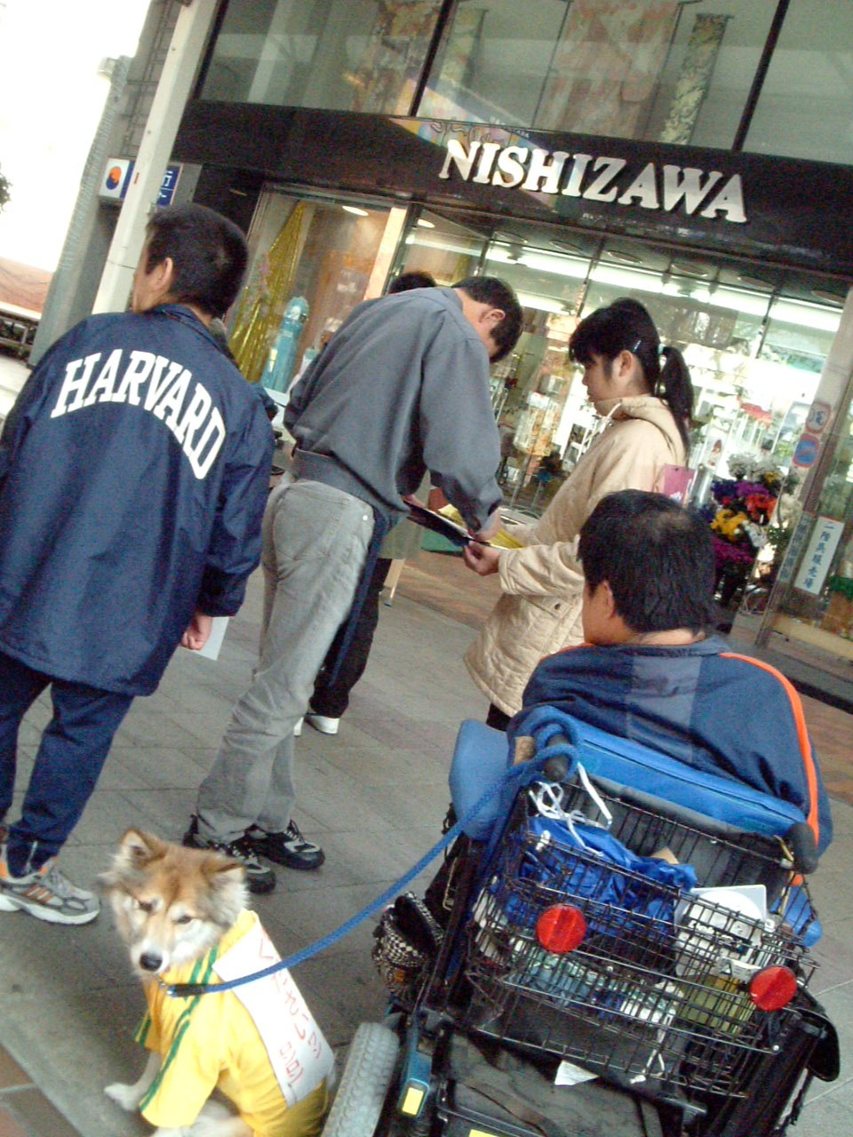 c0069372_21155248.jpg